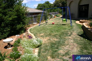 Backyard (2006-10-31)