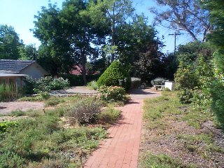 Back Garden (2002-11-29)