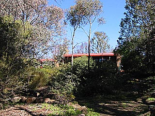 Front garden (2003-08-13)