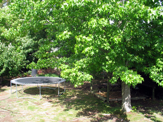 Backyard (2004-12-15)