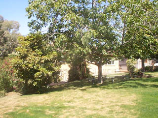 Garden (2002-12-20)