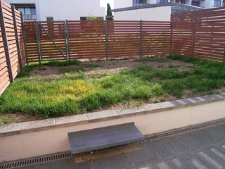Rear Courtyard (2007-04-10)