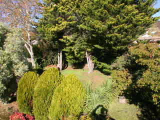 Rear garden (2005-05-28)