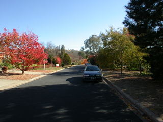 View of street (2005-05-28)