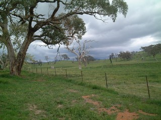 Paddock & view (2004-11-03)