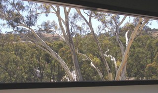First Floor View (2005-04-20)