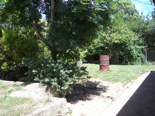 Rear yard (2006-02-08)