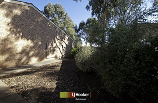 Rear Yard (2011-03-17)