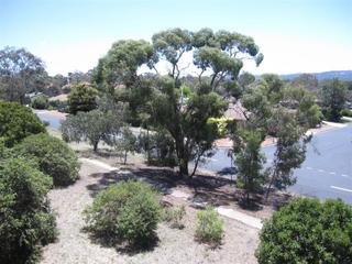 View (2010-01-28)