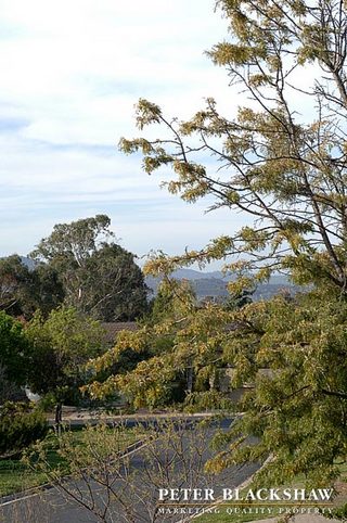 View (2005-10-07)