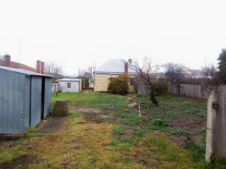 Backyard (2007-06-20)