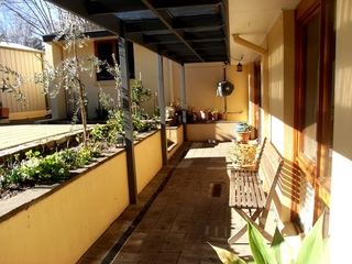 Backyard (2010-08-04)