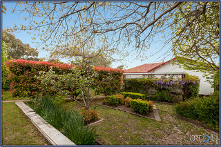 Back garden (2012-10-10)