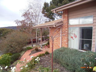 Frontyard (2006-06-09)
