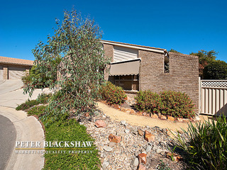Front Garden (2011-05-12)