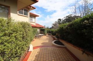 Back yard (2014-10-03)