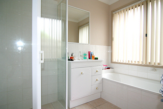 Bathroom (2008-02-13)