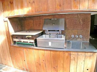BBQ, deepfryer, sink (2008-08-05)