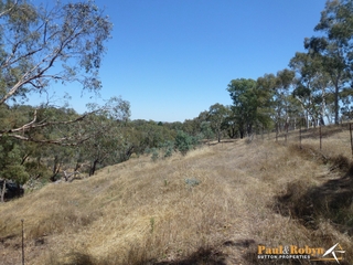 Paddock (2013-02-08)