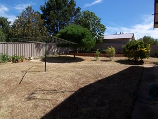 Backyard (2010-01-10)