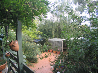 Rear garden (2004-03-18)