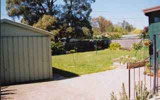 Backyard (2000-10-16)