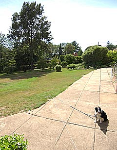 Rear garden (2004-02-13)