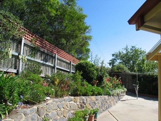 Backyard (2008-03-14)