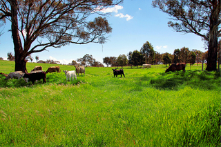 Paddock 3 to 4 (2010-10-27)