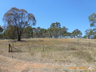 Paddock (2013-02-08)