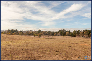 Great Pasture (2013-06-28)