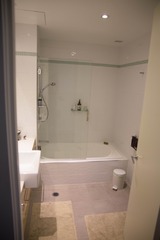 Bathroom (2016-01-28)