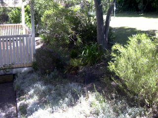 Garden (2004-11-25)