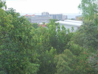 View (2010-04-06)