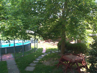 Rear yard (2002-03-19)