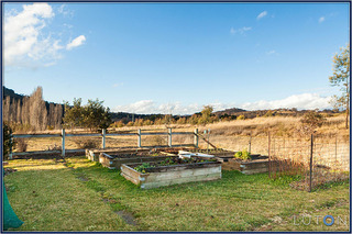 Vegetable beds (2013-08-29)