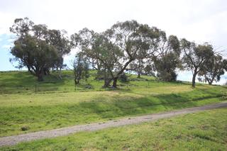 Reserve at rear (2014-10-03)
