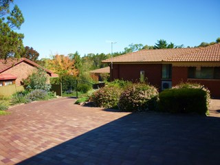 Backyard (2010-03-22)