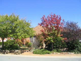Frontyard (2007-04-03)