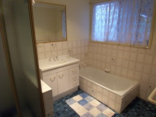 Bathroom (2008-06-12)