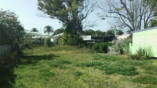 (2015-06-06)