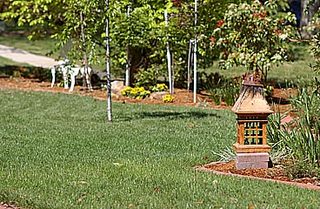 Garden (2005-09-23)