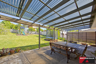 Backyard (2012-11-05)