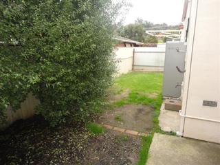 Backyard (2013-06-07)