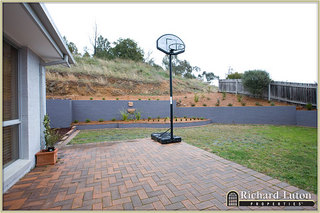 Backyard (2010-08-12)