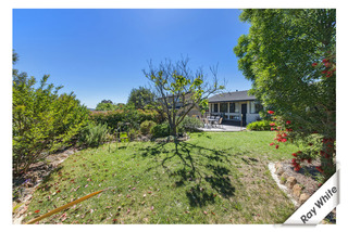 Frontyard (2013-11-07)