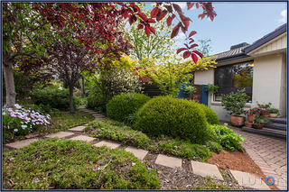 Front Garden (2013-10-09)