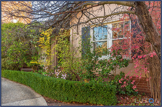 Garden (2014-05-13)