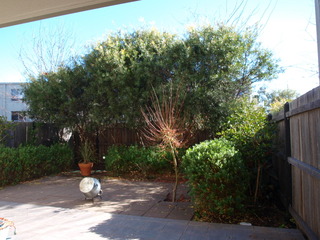 Courtyard (2015-01-09)