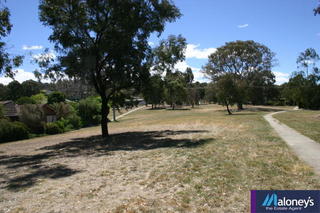 Nearby Park (2006-10-31)